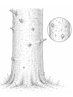 Fachartikel